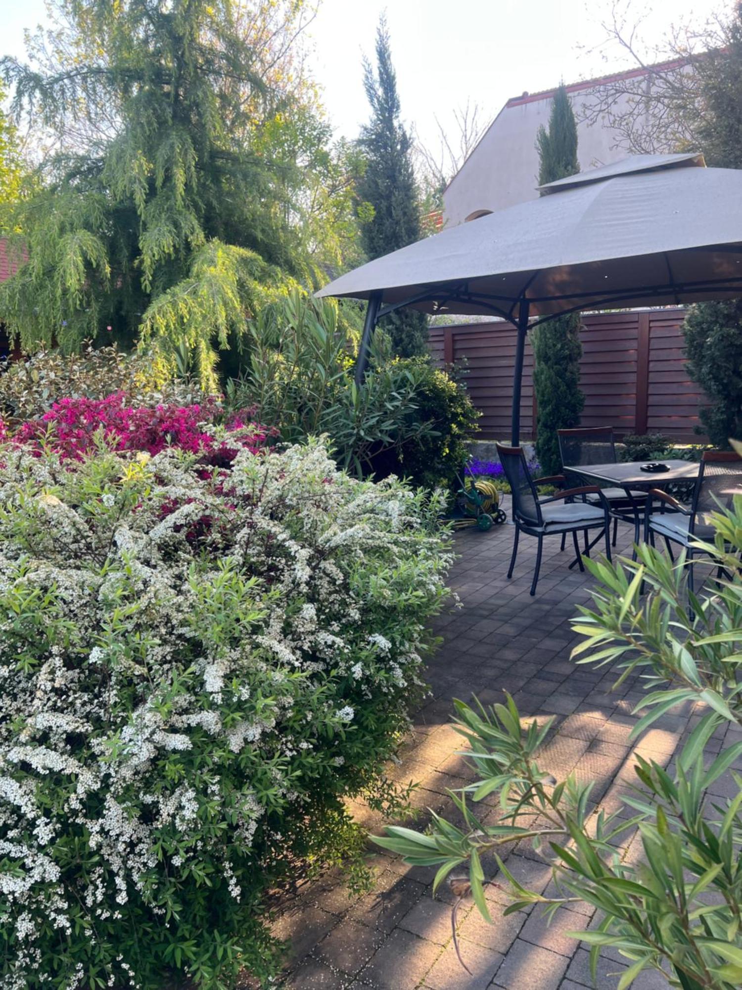 Galeria Apartmanhaz Keszthely Exterior foto